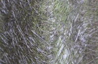 Tilbrook fibreglass roof work